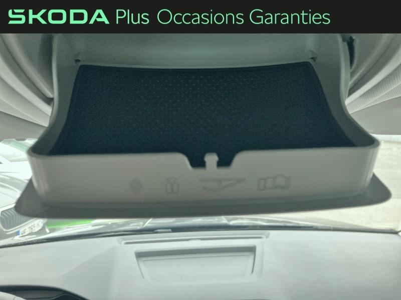 Voitures occasions ŠKODA KAROQ Selection Rivery