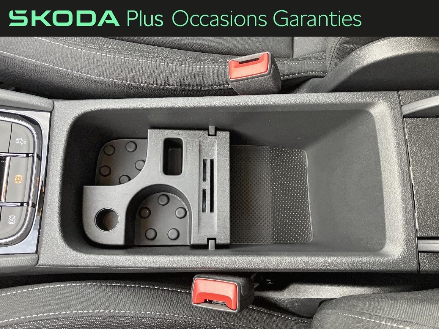 Voitures occasions ŠKODA KAROQ Selection Rivery