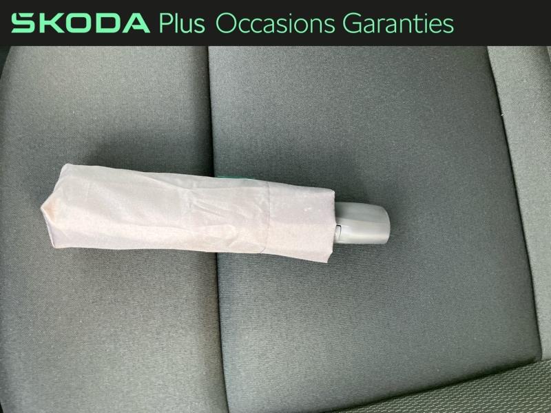 Voitures occasions ŠKODA KAROQ Selection Rivery