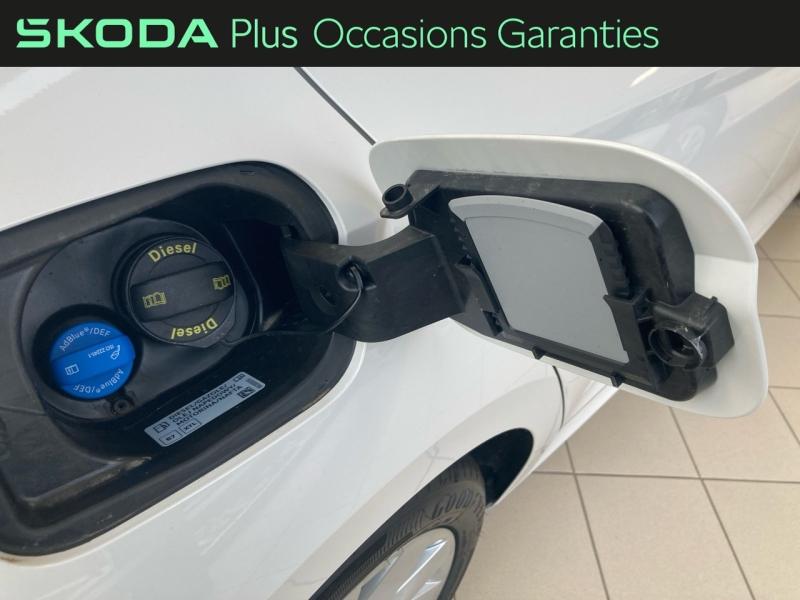 Voitures occasions ŠKODA OCTAVIA Selection Rivery