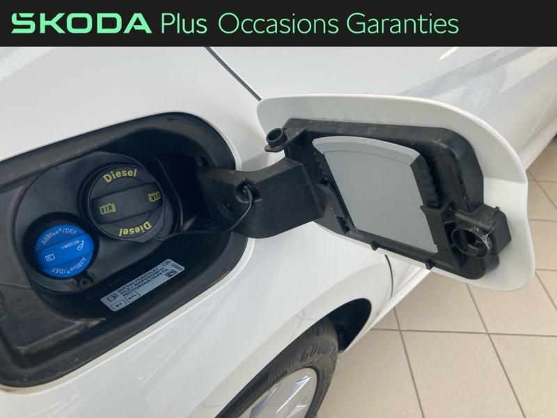 Voitures occasions ŠKODA OCTAVIA Selection Rivery