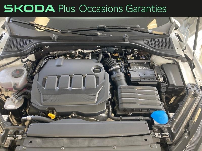 Voitures occasions ŠKODA OCTAVIA Selection Rivery