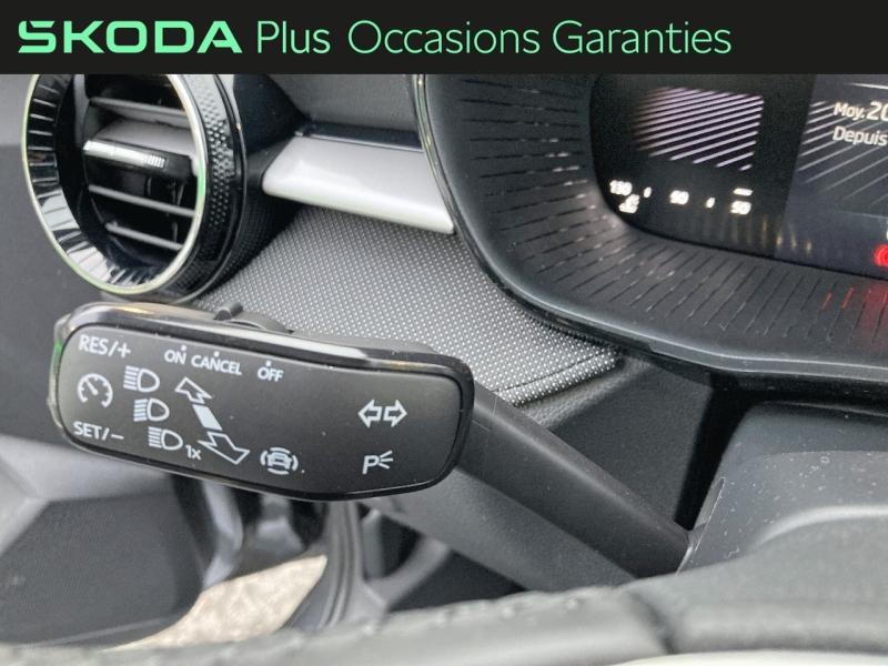Voitures occasions ŠKODA FABIA Selection Rivery