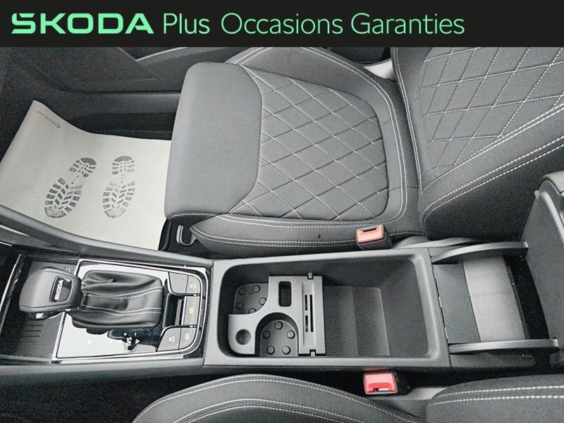 Voitures occasions ŠKODA KAROQ Sportline Rivery