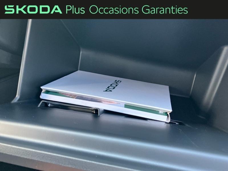 Voitures occasions ŠKODA FABIA Selection Rivery