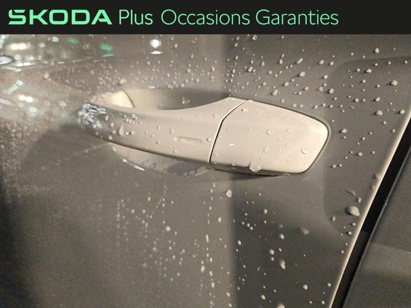 Voitures occasions ŠKODA KAMIQ Selection Rivery