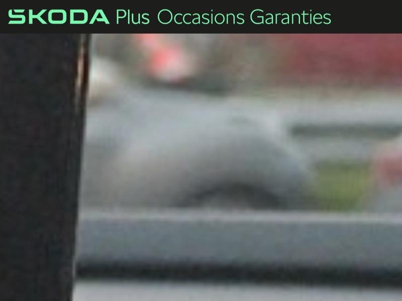 Voitures occasions ŠKODA Superb Combi Selection Rivery