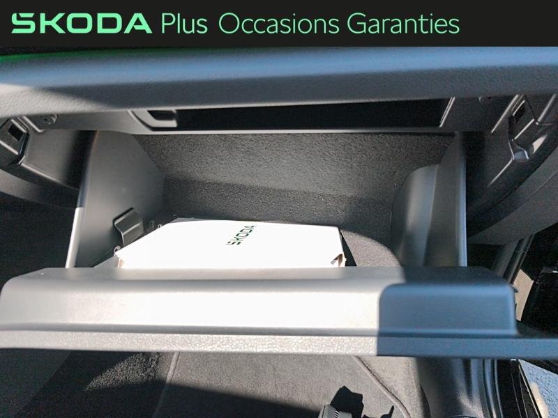 Voitures occasions ŠKODA Octavia Combi Sportline Rivery