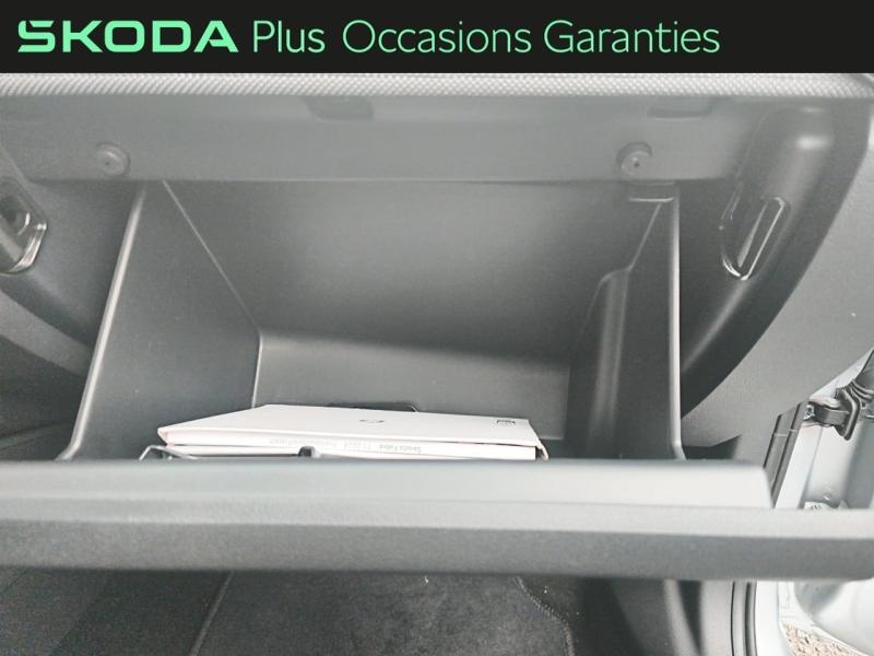Voitures occasions ŠKODA FABIA Selection Rivery