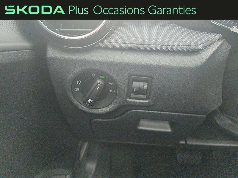 Voitures occasions ŠKODA FABIA Selection Rivery