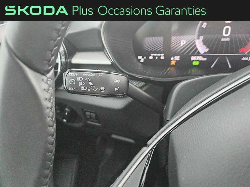 Voitures occasions ŠKODA FABIA Selection Rivery