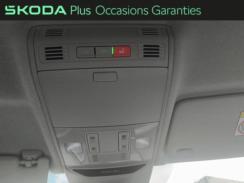 Voitures occasions ŠKODA FABIA Selection Rivery