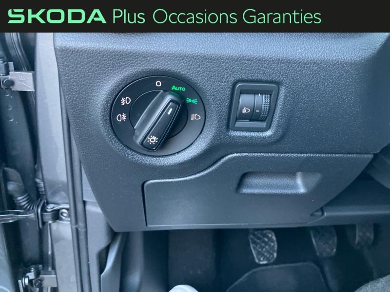 Voitures occasions ŠKODA FABIA Selection Rivery