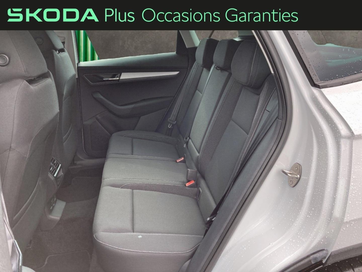 Voitures occasions ŠKODA KAROQ Selection Rivery