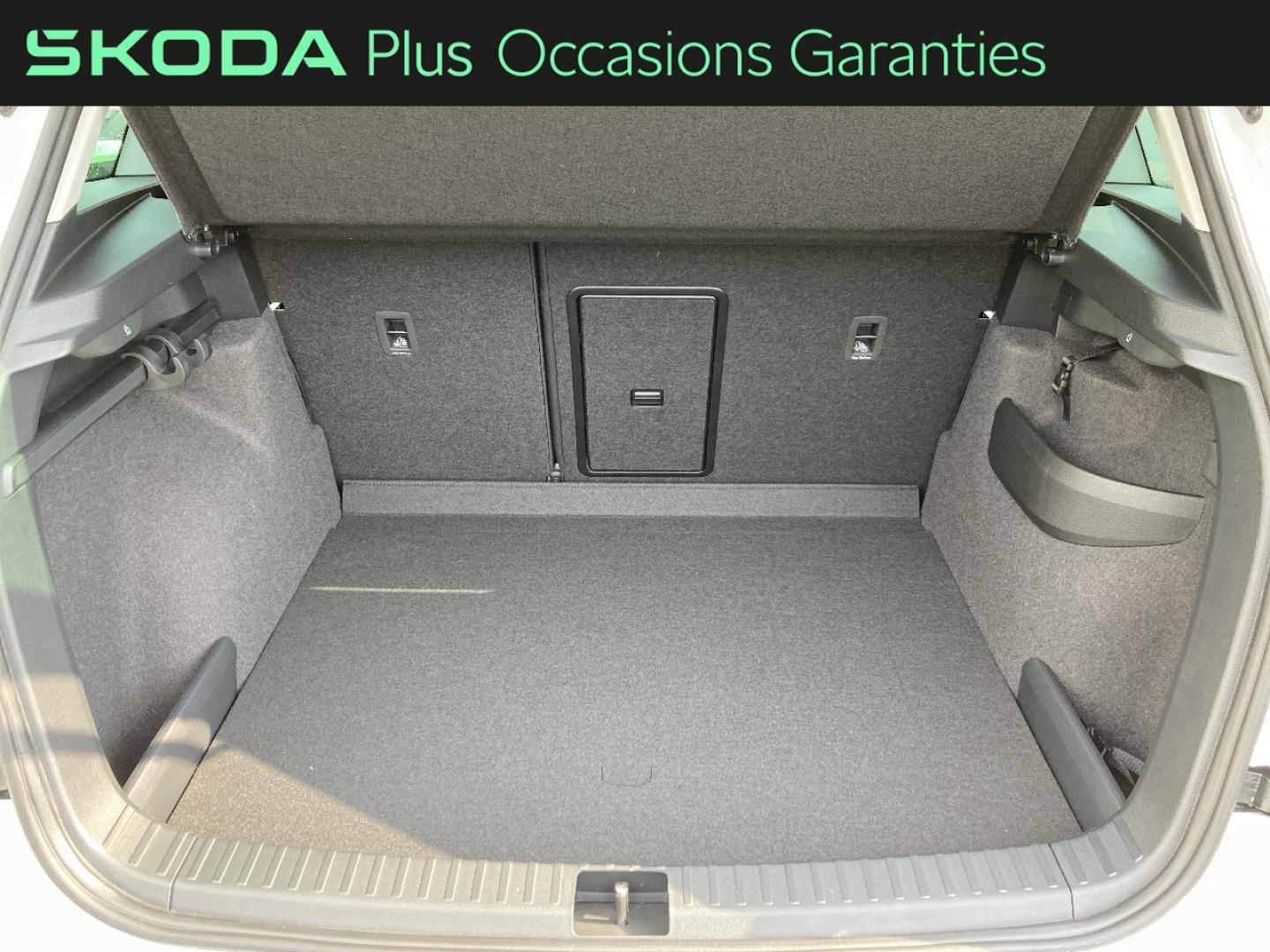 Voitures occasions ŠKODA KAROQ Selection Rivery