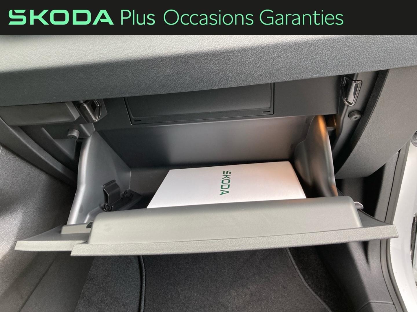 Voitures occasions ŠKODA KAROQ Selection Rivery