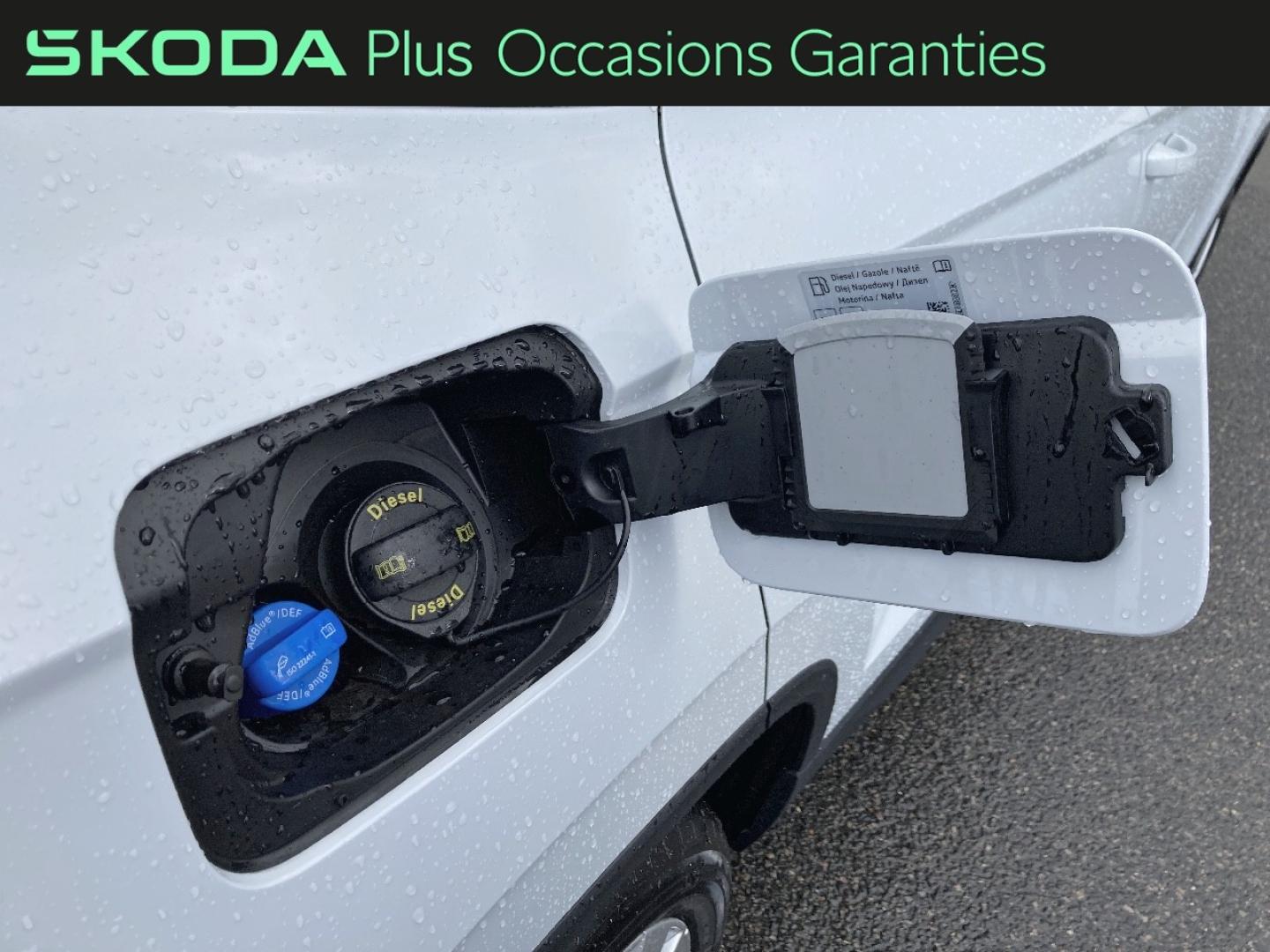 Voitures occasions ŠKODA KAROQ Selection Rivery