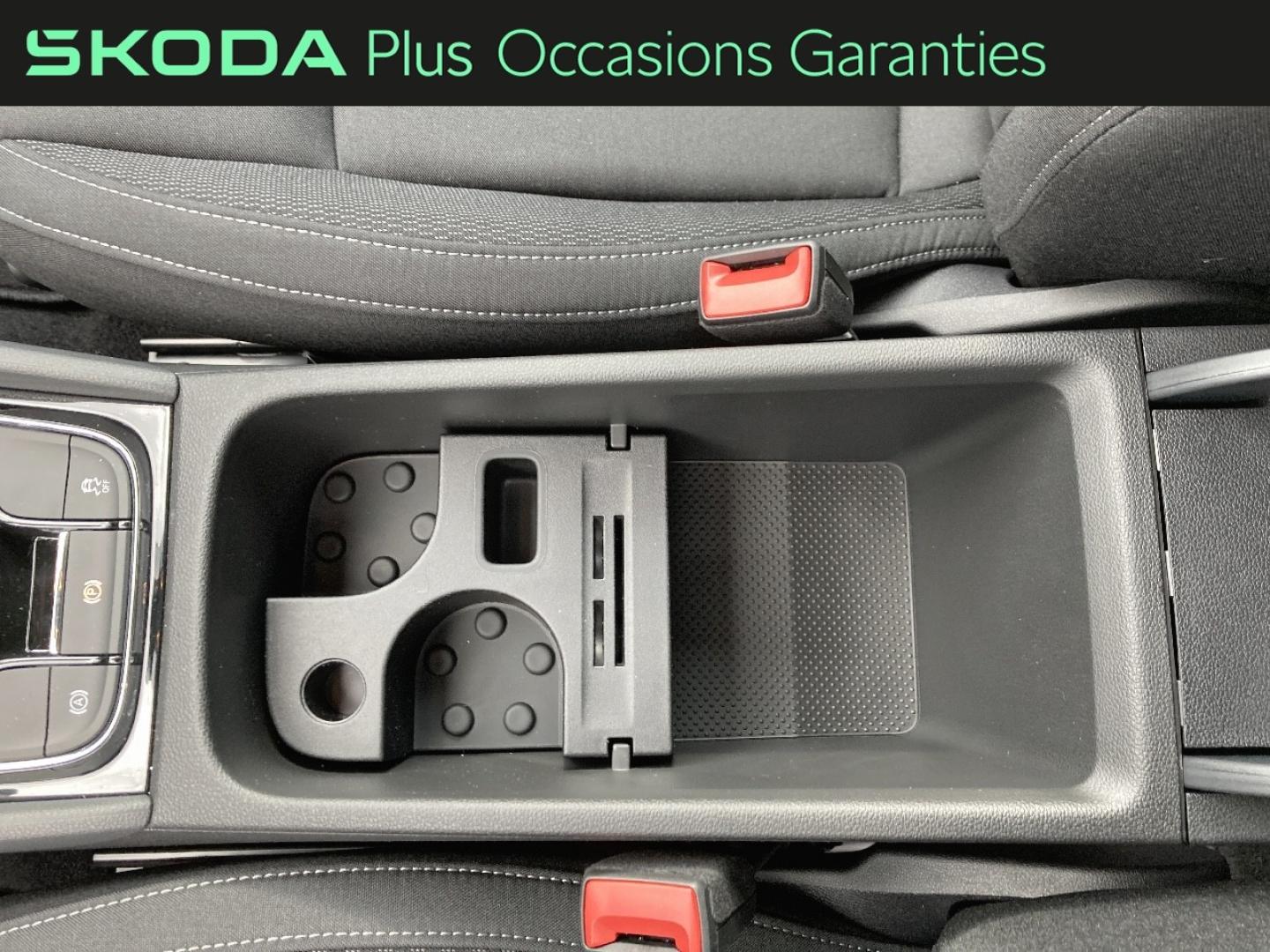 Voitures occasions ŠKODA KAROQ Selection Rivery