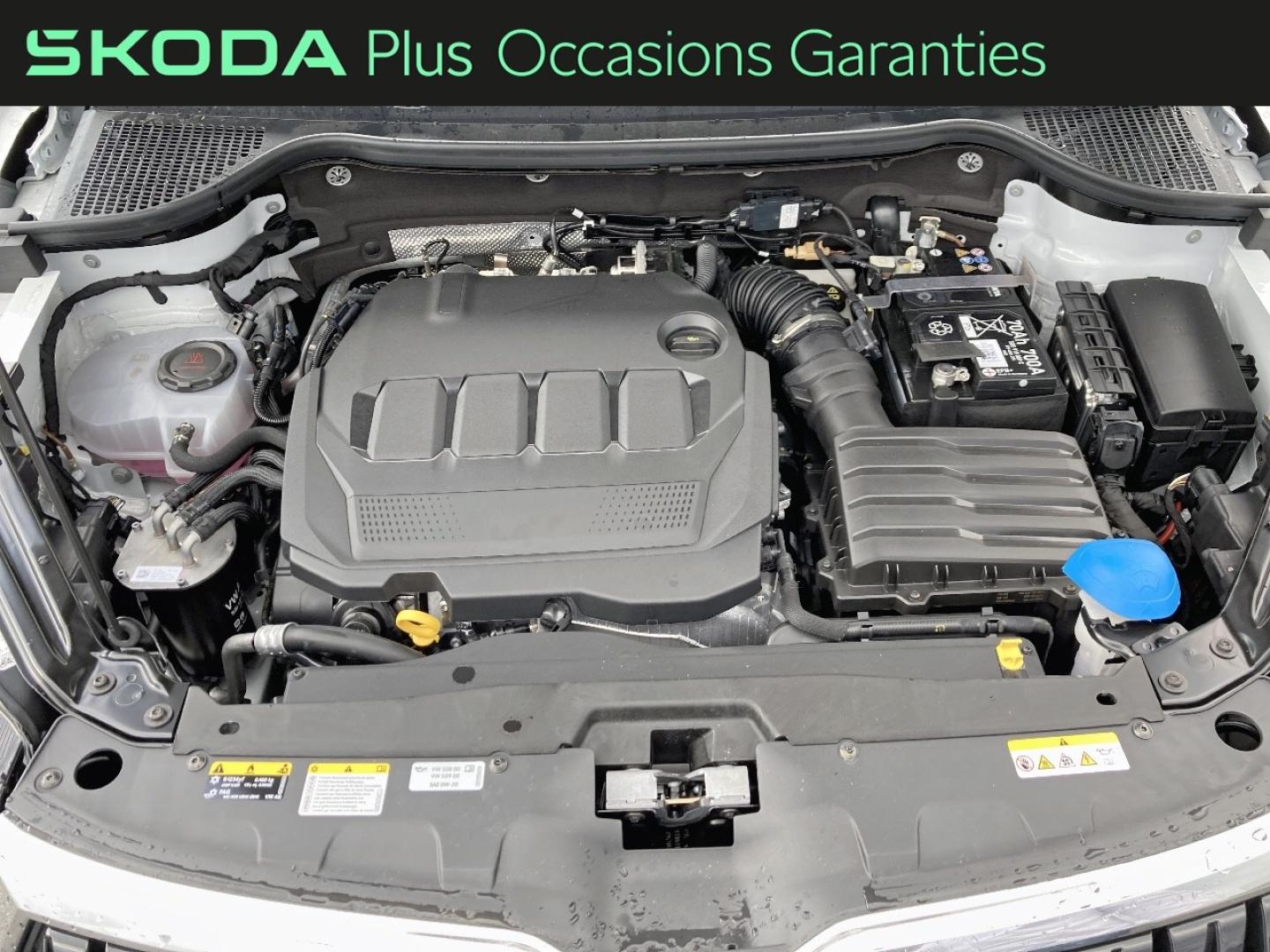 Voitures occasions ŠKODA KAROQ Selection Rivery