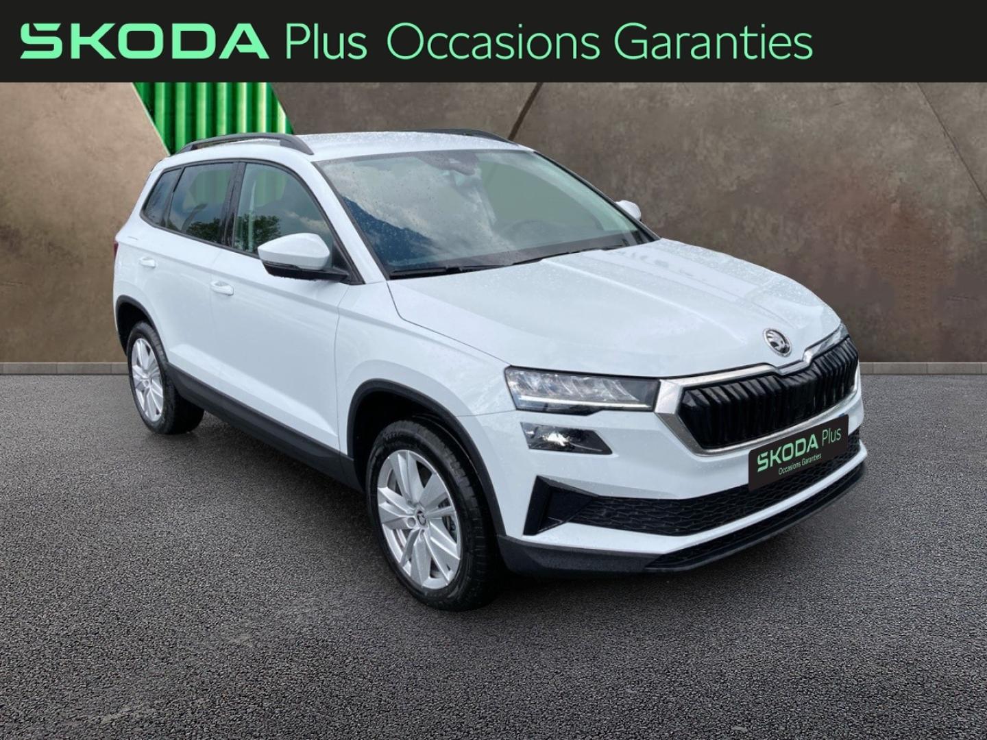 Voitures occasions ŠKODA KAROQ Selection Rivery