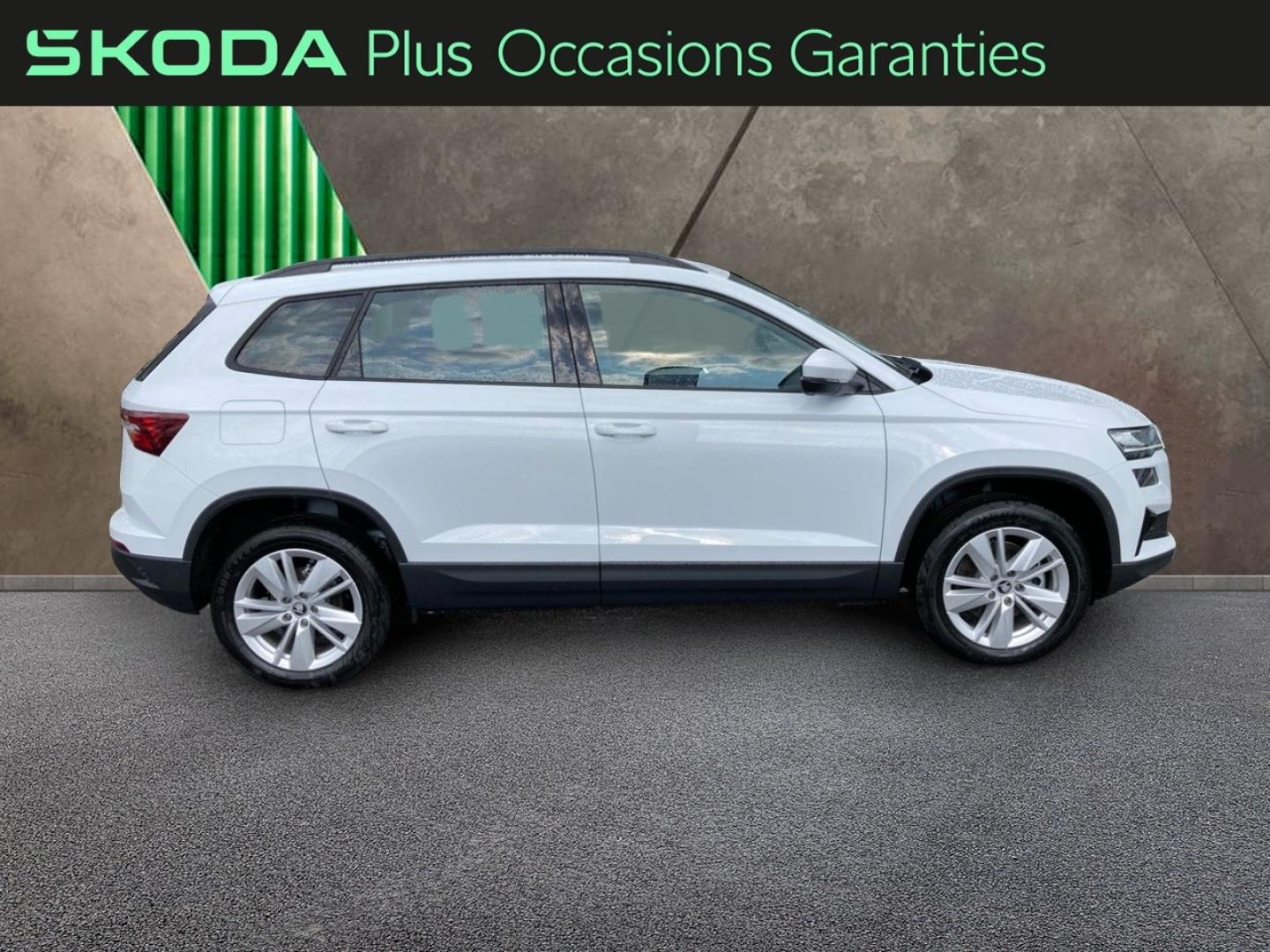 Voitures occasions ŠKODA KAROQ Selection Rivery