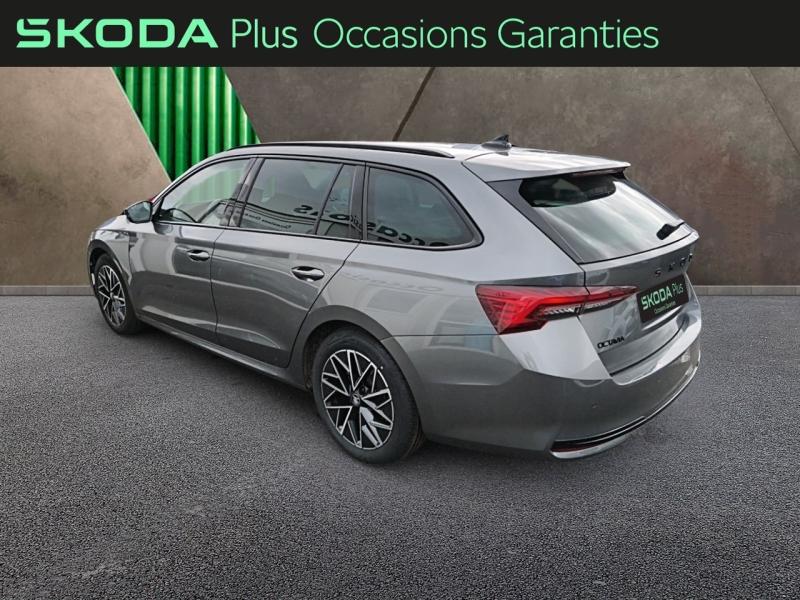 Voitures occasions ŠKODA Octavia Combi Sportline Rivery