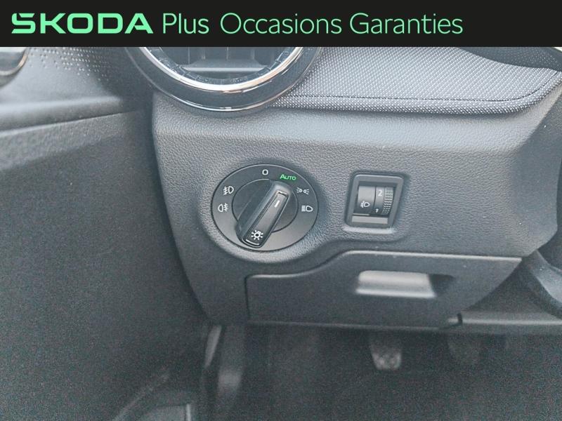 Voitures occasions ŠKODA FABIA Selection Rivery