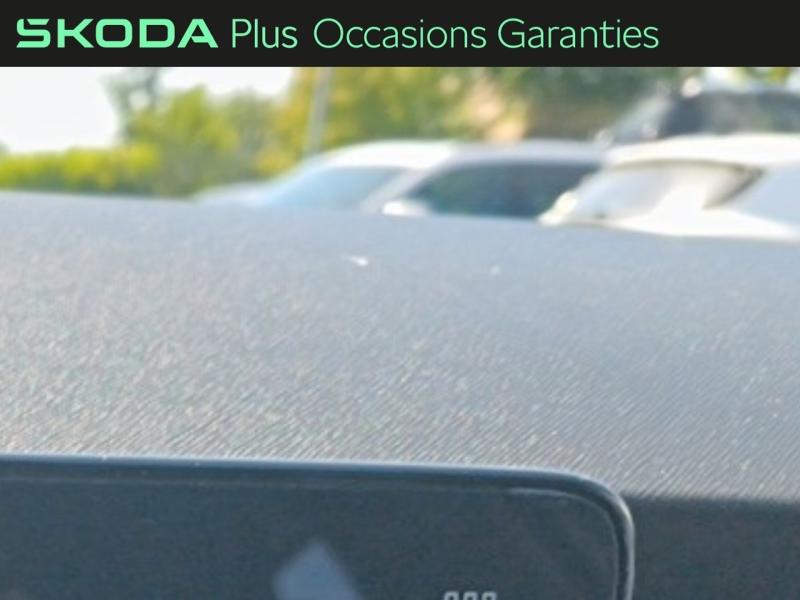 Voitures occasions ŠKODA FABIA Selection Rivery