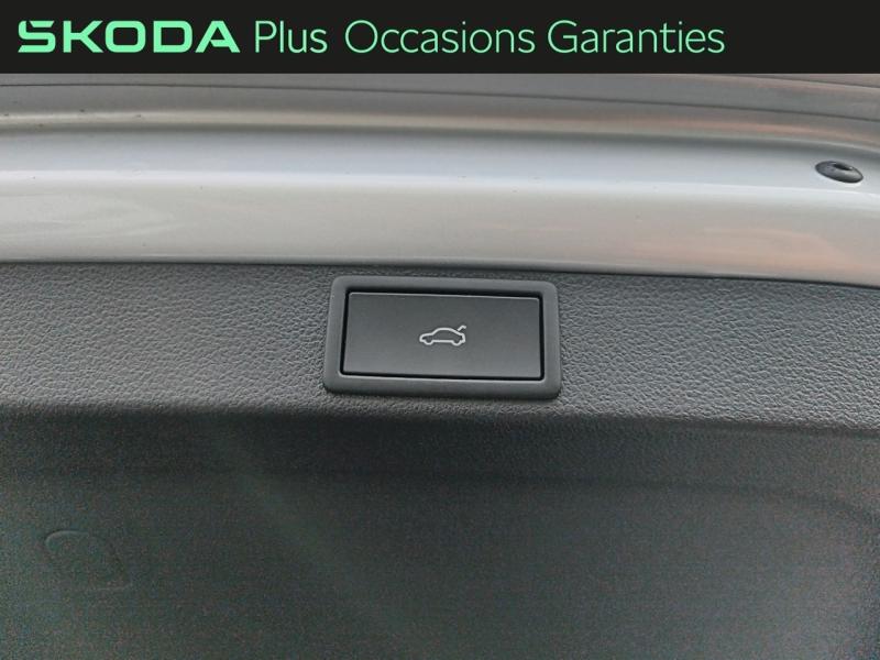 Voitures occasions ŠKODA Octavia Combi Sportline Rivery