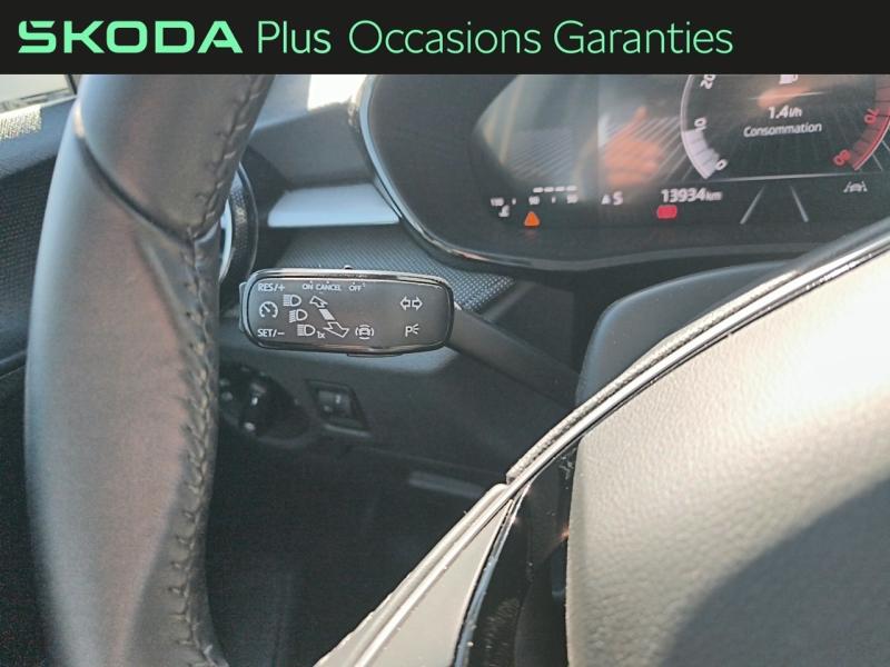 Voitures occasions ŠKODA FABIA Selection Rivery