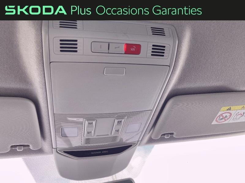 Voitures occasions ŠKODA KAMIQ Young Edition Rivery