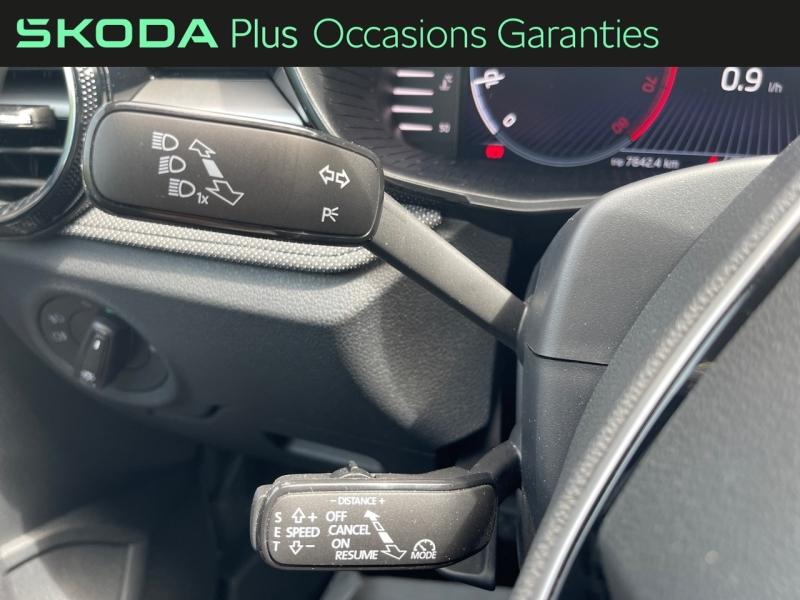 Voitures occasions ŠKODA FABIA Selection Rivery