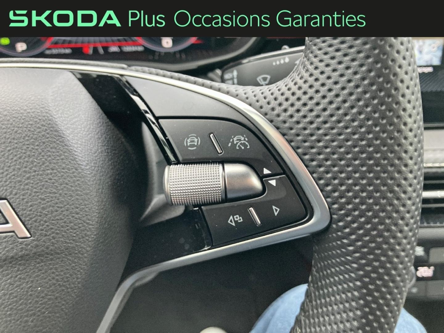 Voitures occasions ŠKODA FABIA Monte Carlo Rivery