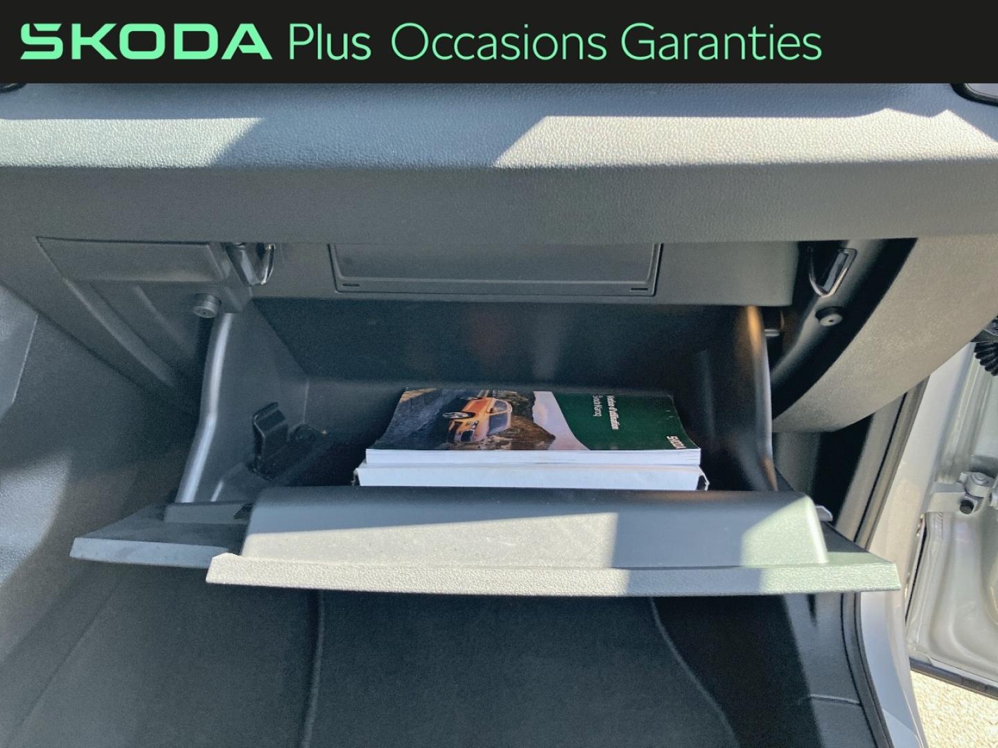 Voitures occasions ŠKODA KAROQ Sportline Rivery