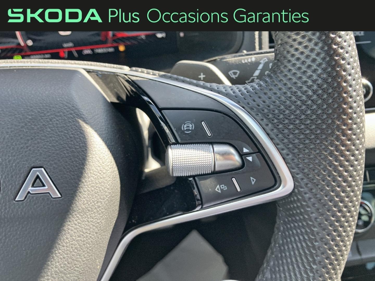 Voitures occasions ŠKODA KAROQ Sportline Rivery