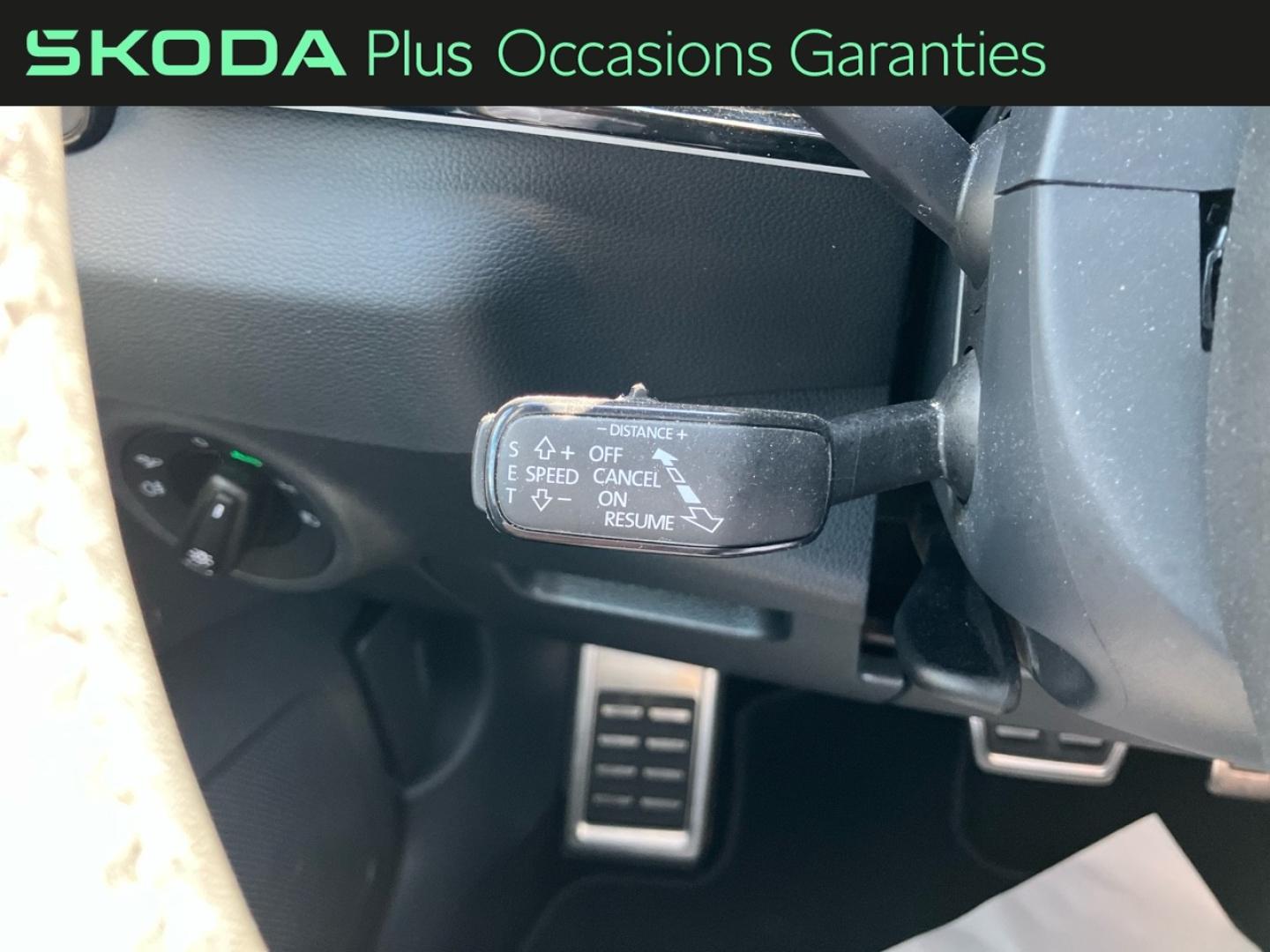 Voitures occasions ŠKODA KAROQ Sportline Rivery