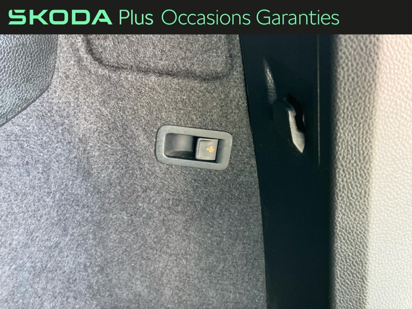 Voitures occasions ŠKODA KAROQ Sportline Rivery