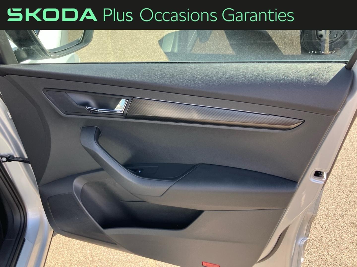 Voitures occasions ŠKODA KAROQ Sportline Rivery