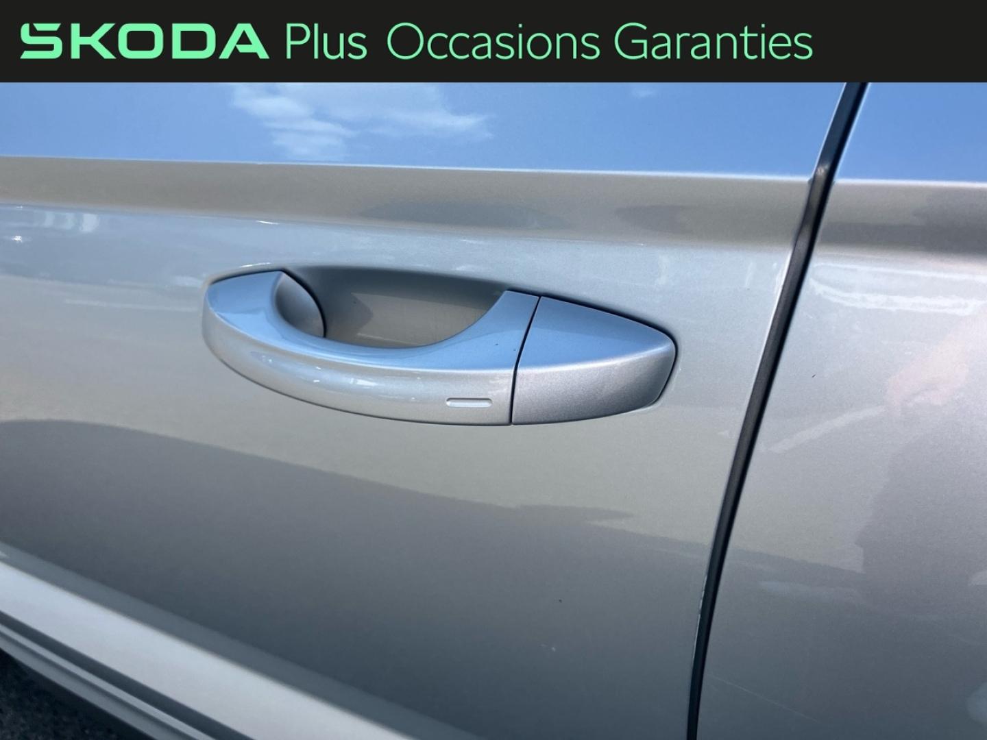 Voitures occasions ŠKODA KAROQ Sportline Rivery