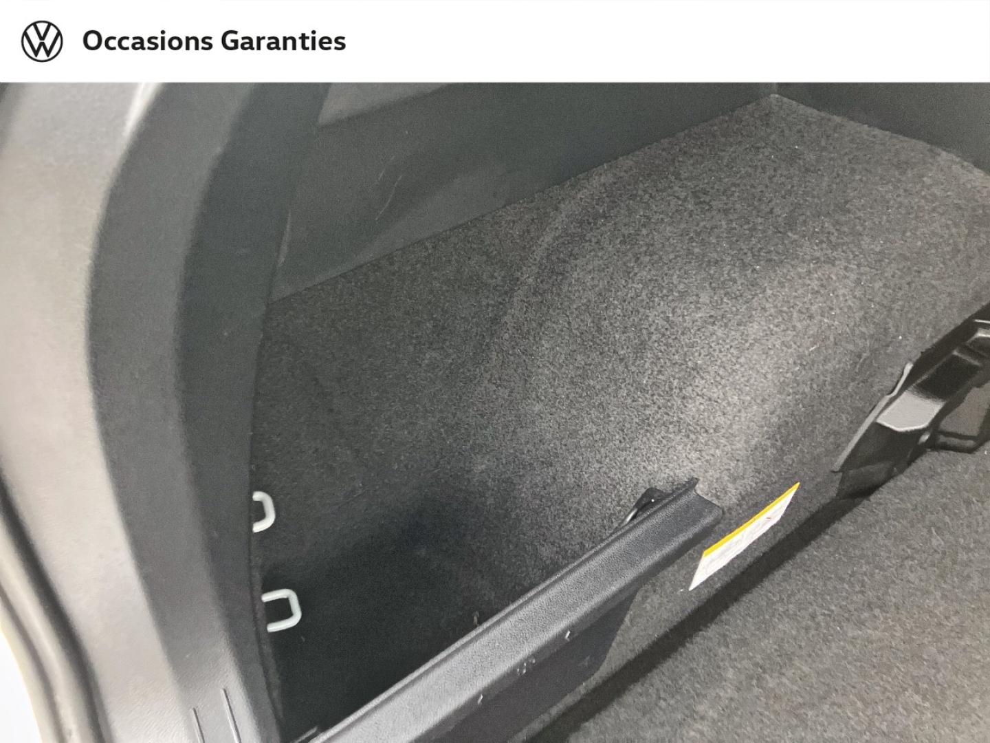 Voitures occasions VOLKSWAGEN TIGUAN Carat Exclusive Rivery