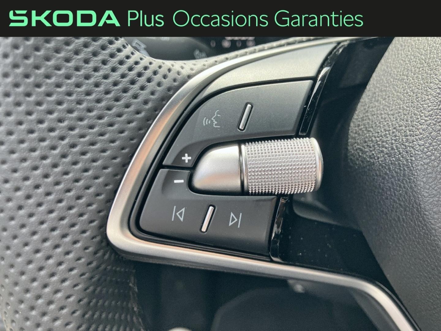 Voitures occasions ŠKODA FABIA Selection Rivery