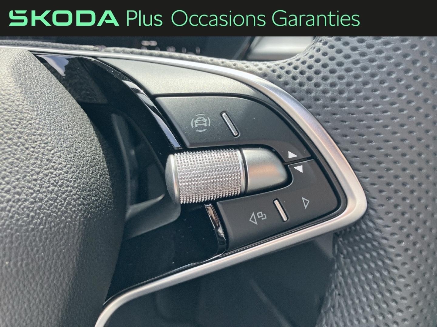 Voitures occasions ŠKODA FABIA Selection Rivery