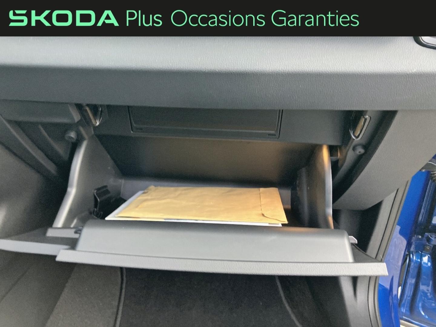 Voitures occasions ŠKODA KAROQ Sportline Rivery