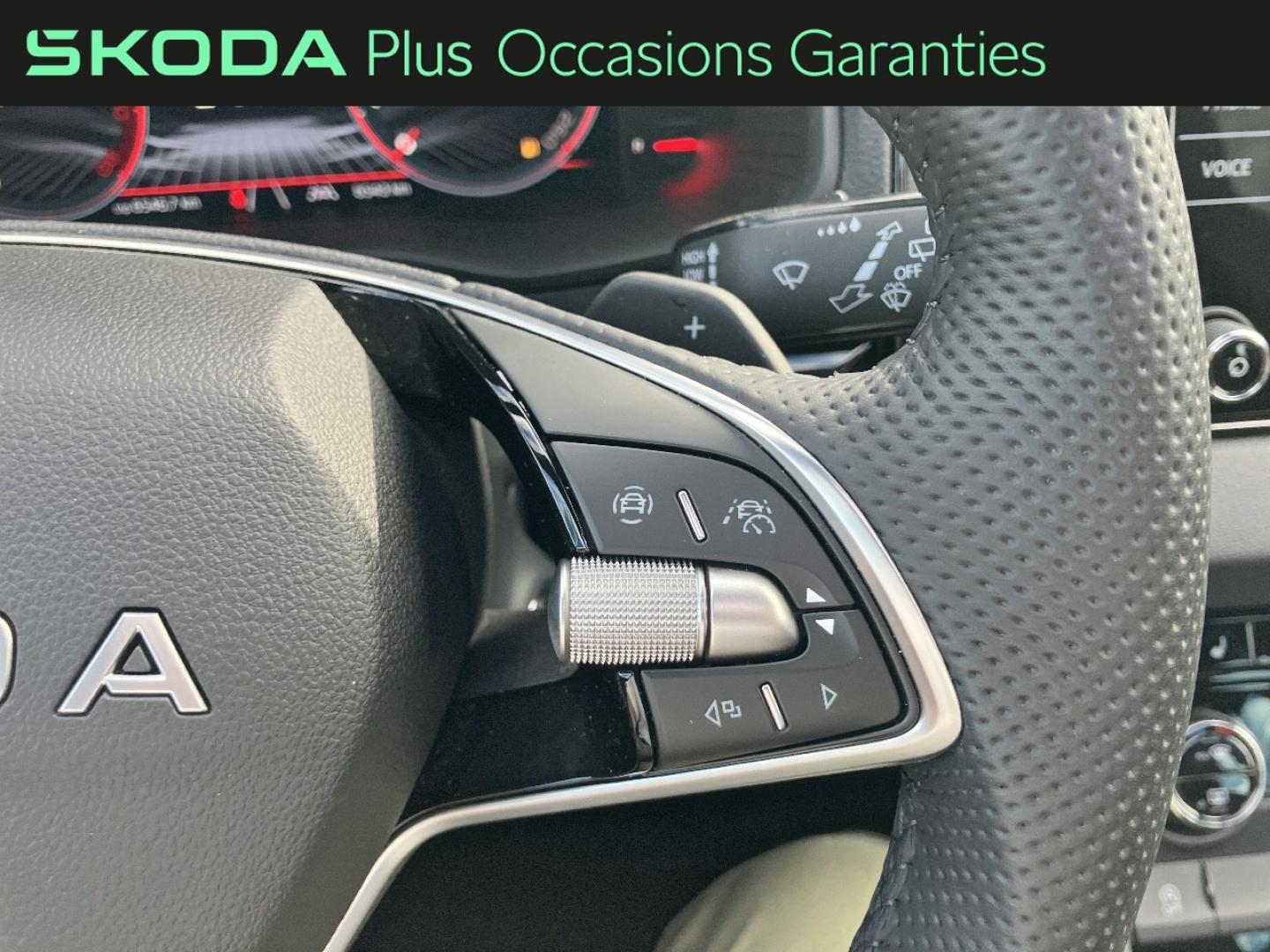 Voitures occasions ŠKODA KAROQ Sportline Rivery