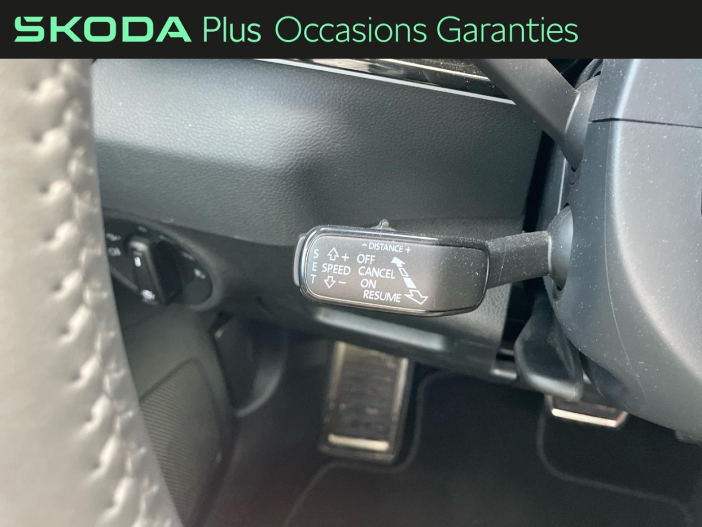 Voitures occasions ŠKODA KAROQ Sportline Rivery