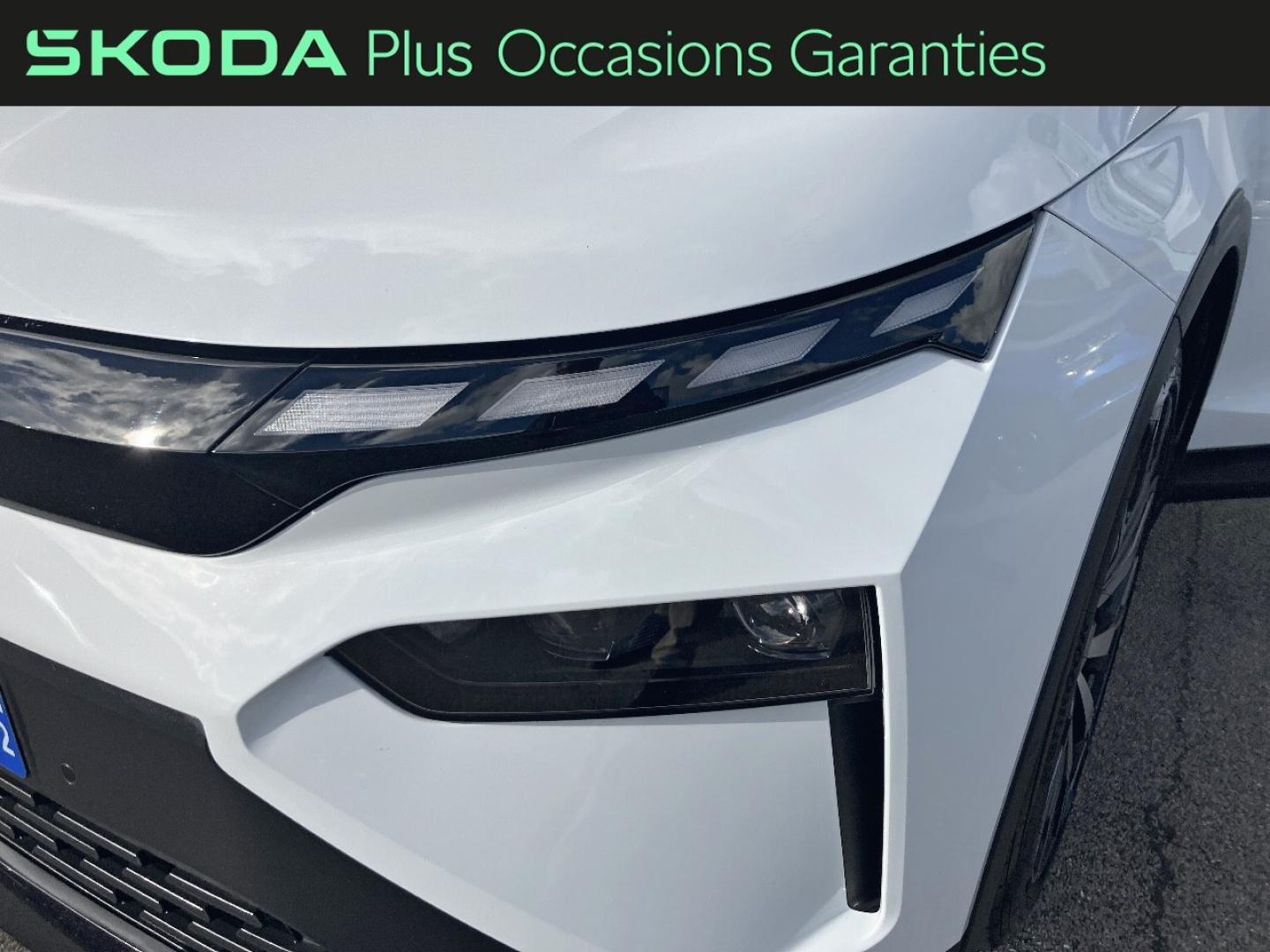 Voitures occasions ŠKODA Nouveau  Rivery