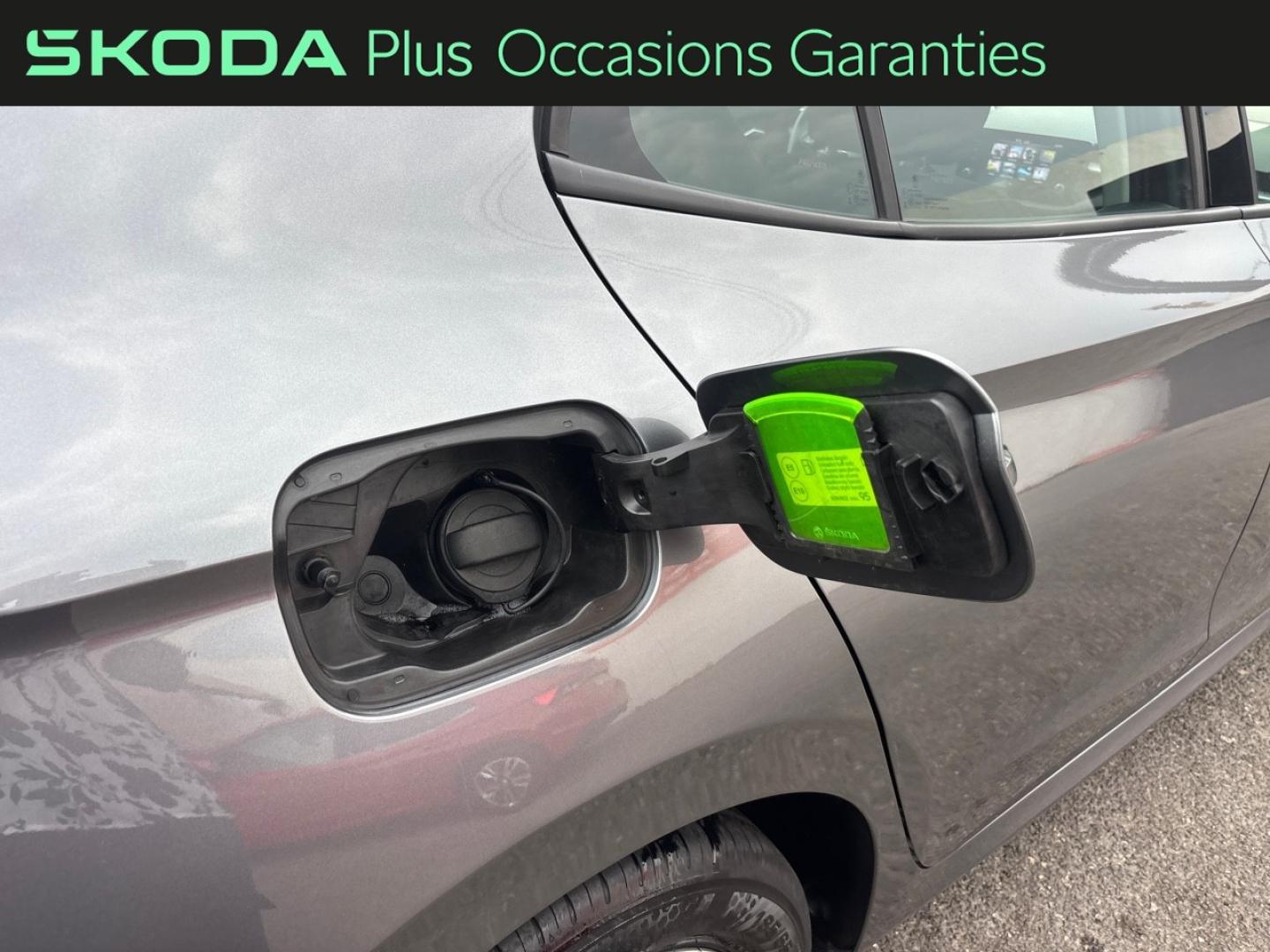 Voitures occasions ŠKODA FABIA Ambition Mougins