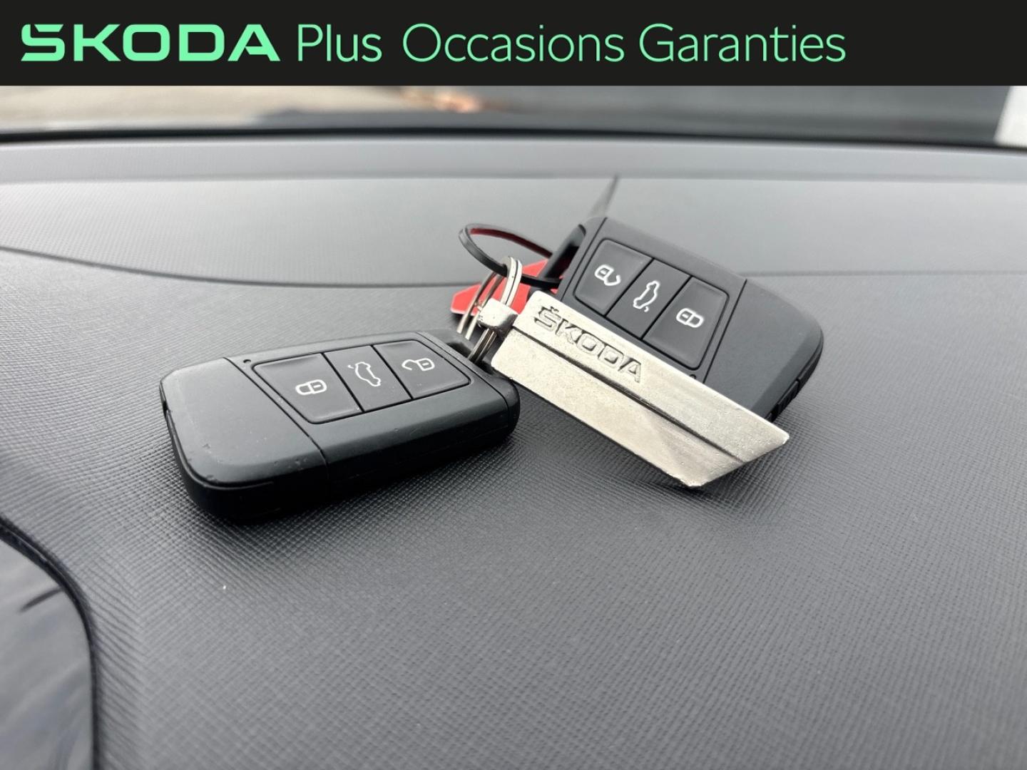 Voitures occasions ŠKODA FABIA Ambition Mougins