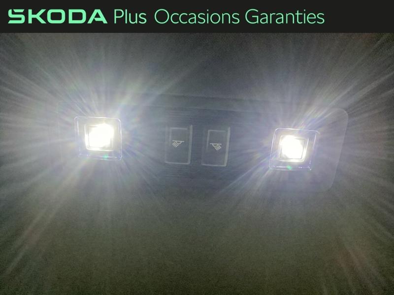 Voitures occasions ŠKODA FABIA Monte Carlo Mougins