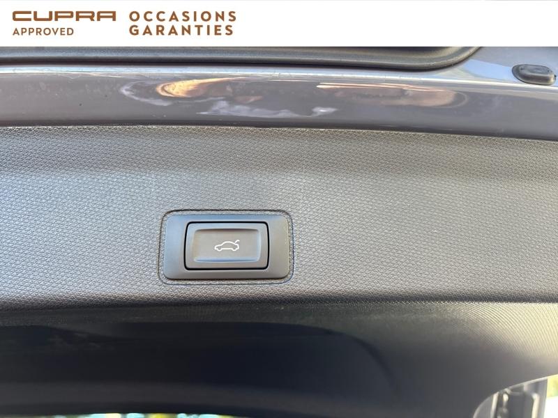 Voitures occasions CUPRA Terramar V Mougins